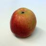 Qrunch - Apple Cortland