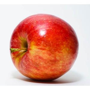 Fresh Produce - Apple Jazz
