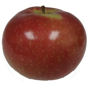 Fresh Produce - Apple Mcintosh Large