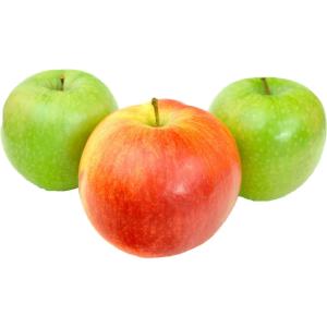 Scott - Apples Macoun 100ct