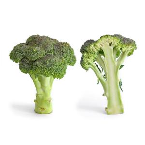 Produce - Broccoli