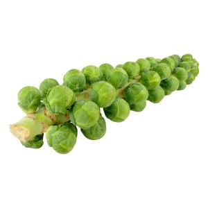 Brussel Sprouts Stalks