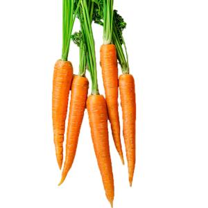 Fresh Produce - Carrot French