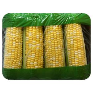Corn bi Color Tray