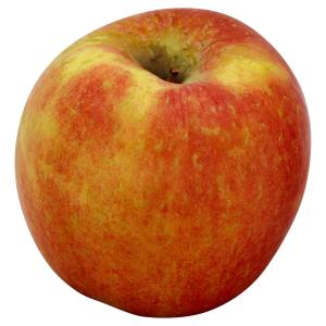 Saran Wrap - Apples Cortland Totes