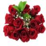 DOZ 50 CM ROSE BQT RED