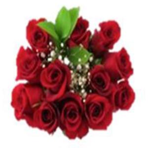 Floral - dz Red Rose Bqt