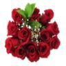 Floral - dz Red Rose Bqt