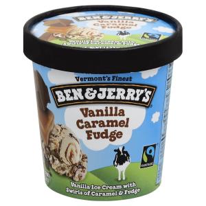 Ben & jerry's - Ice Cream Van Crml Fudge Swirl