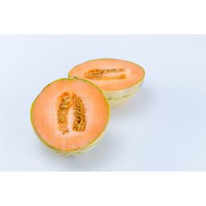 Produce - Melon French Breakfast