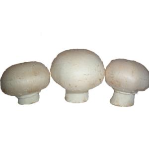 Produce - Mushroom Button