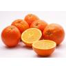Fresh Produce - Orange Navel 113