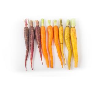 Produce - Organic Multi Colored Carrots