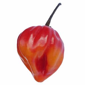 Peppers - Pepper Jamacian Hot