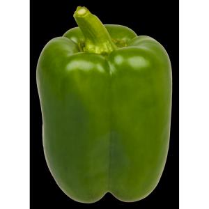 Fresh Produce - Peppers Green Jumbo 24lb