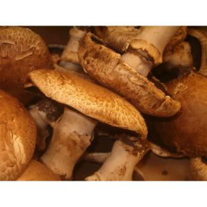 Fresh Produce - Portabella Mushrooms