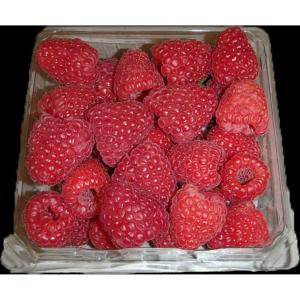 Produce - Raspberries Red