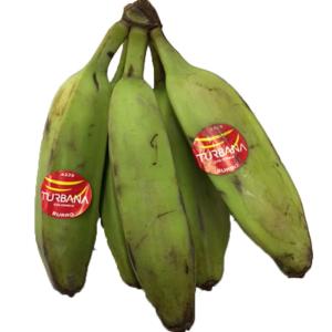Fresh Produce - Squash Banana