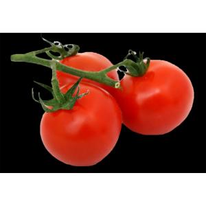 Fresh Produce - Tomato Vine Ripe Large