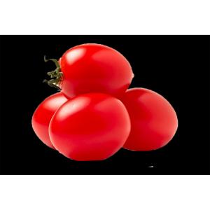 Fresh Produce - Tomatoes Plum